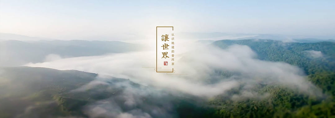 今大福普洱茶 今大福普洱茶