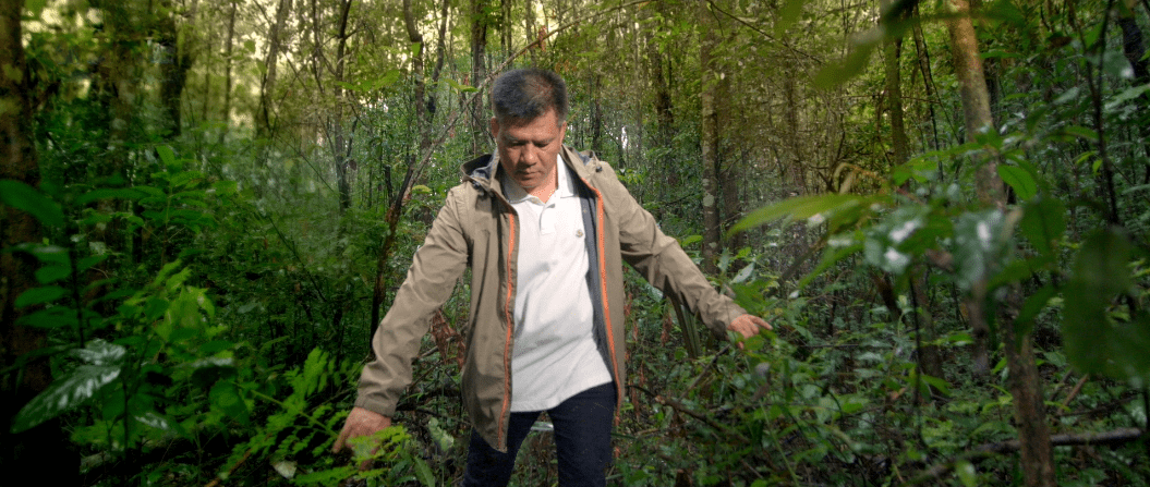 <a href=http://www.irkerecue.com/ target='_blank'>今大福茶葉</a>創(chuàng)始人何寶強(qiáng)