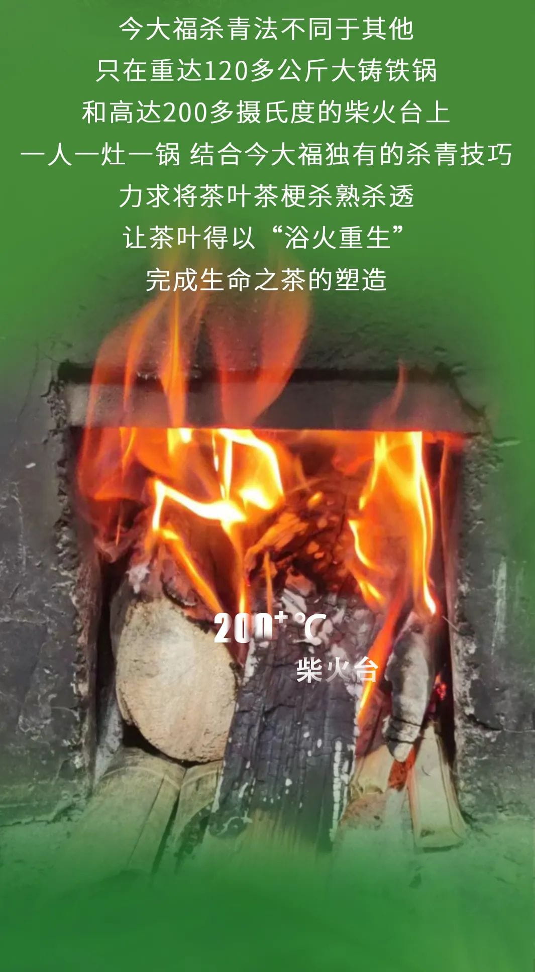 今大福2022年限定頭春散茶 今大福2022年限定頭春散茶