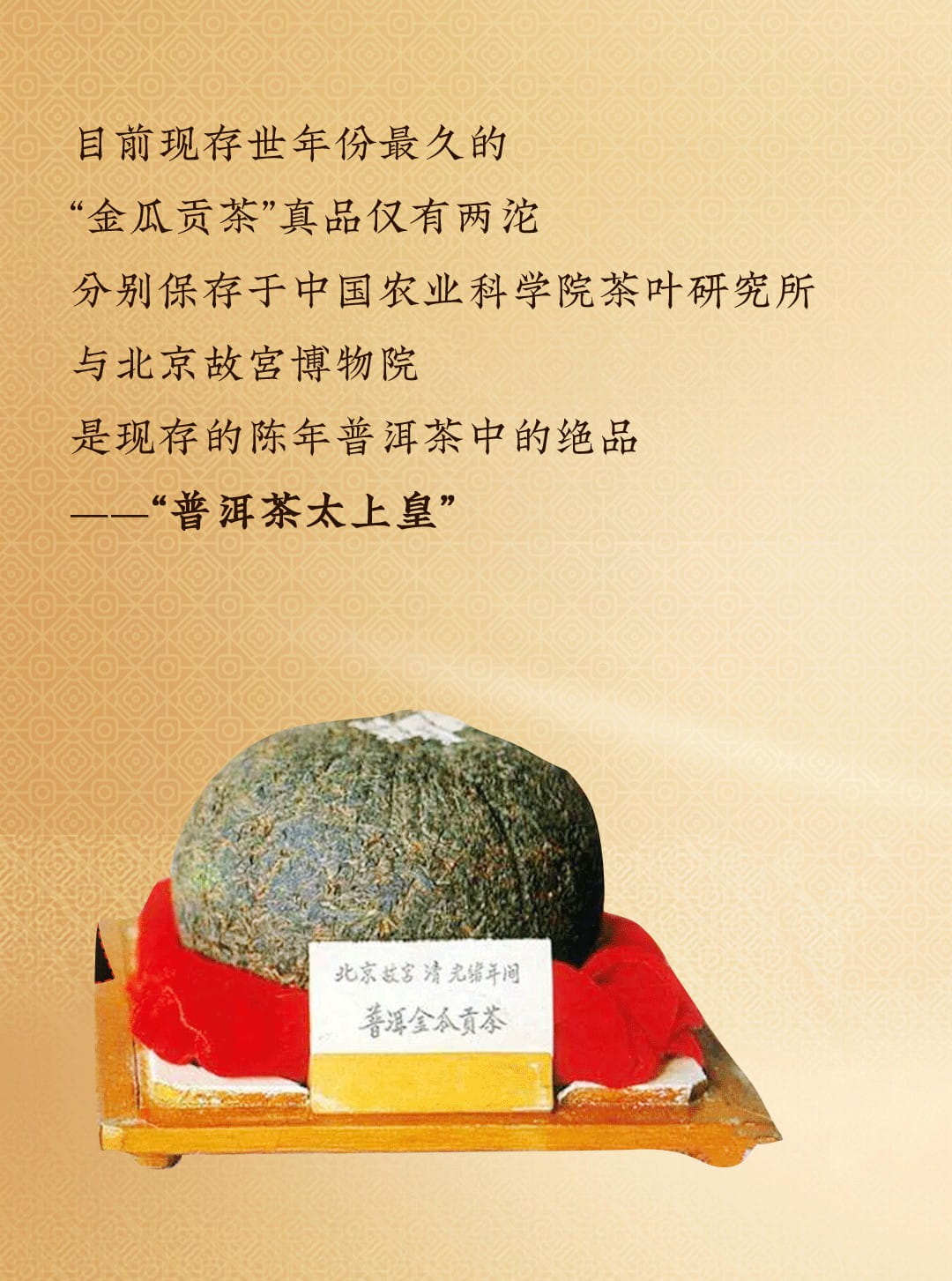 今大福2022年藏?！ぐ嗾陆鸸喜?>
	<img src=