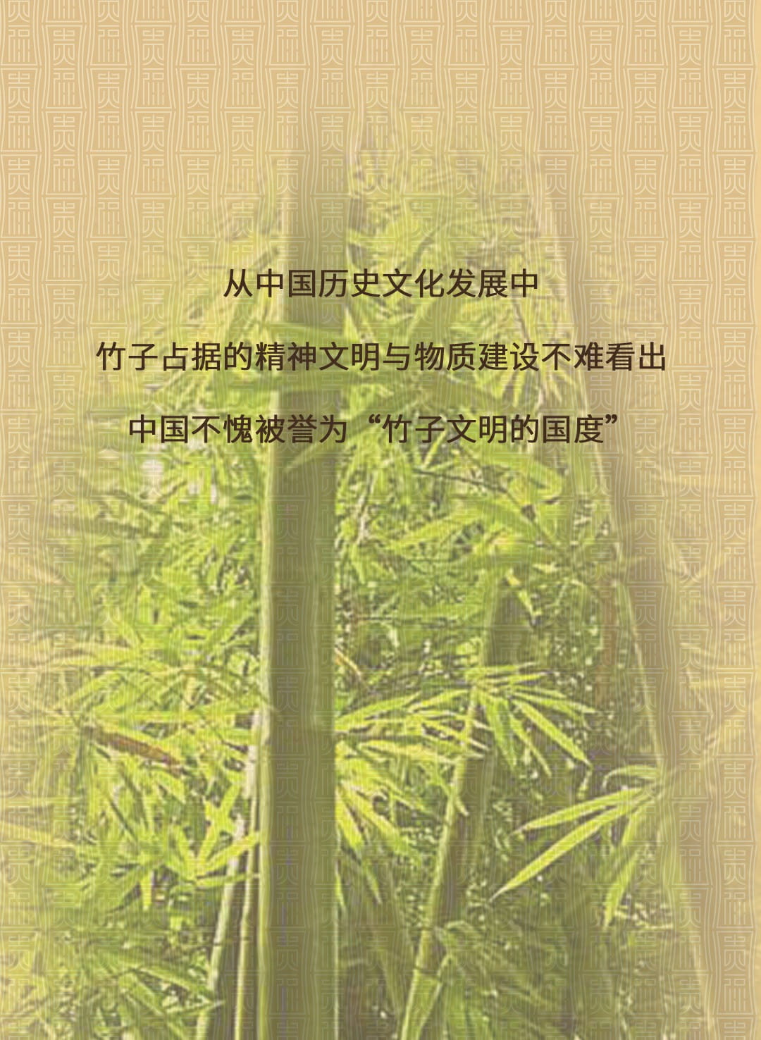 今大福2022年貴福·班章竹筒茶 今大福2022年貴福·班章竹筒茶