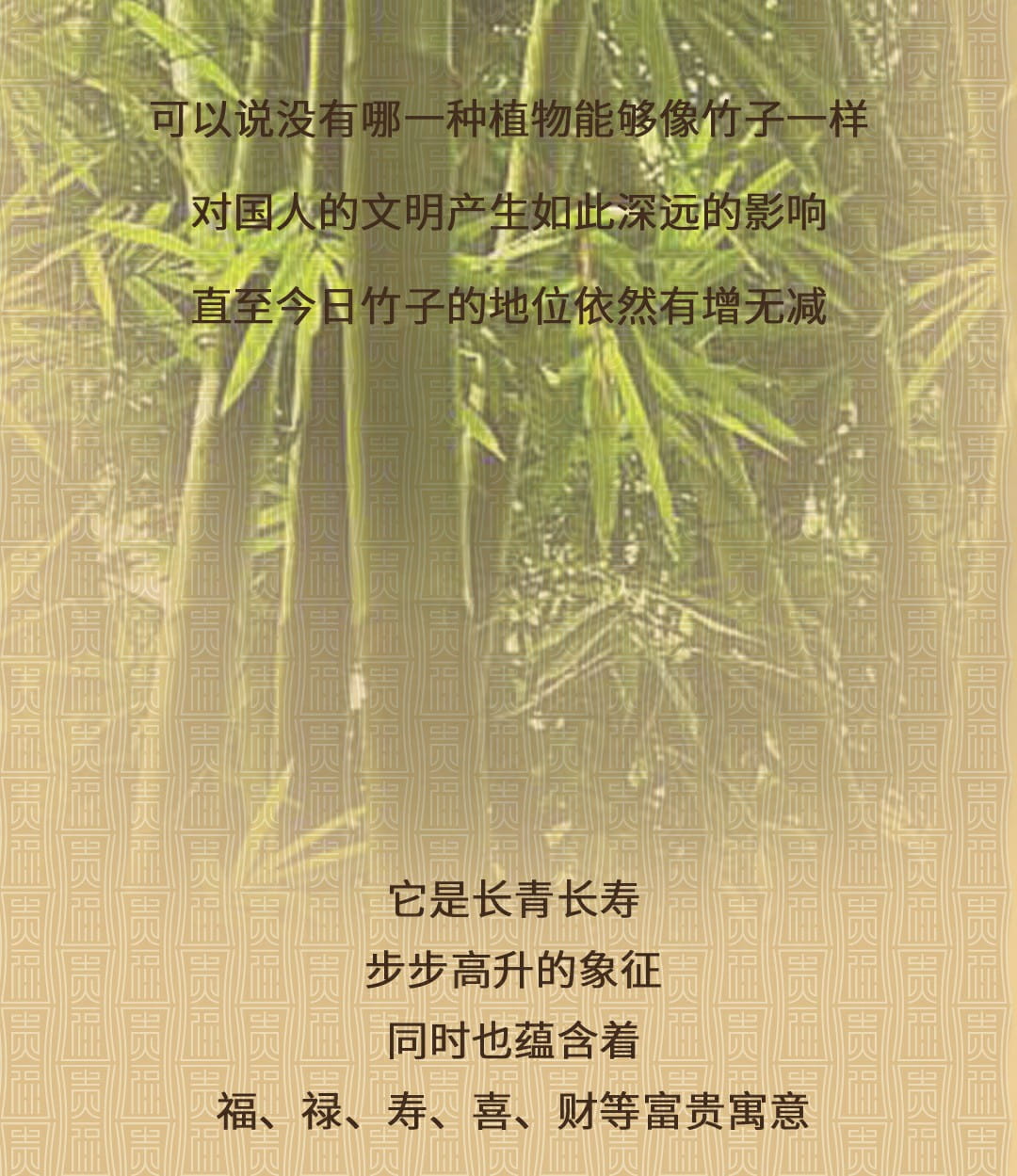 今大福2022年貴福·班章竹筒茶 今大福2022年貴福·班章竹筒茶