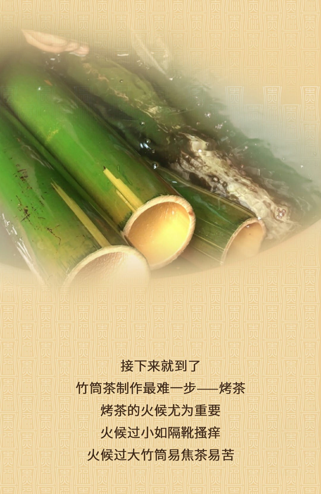 今大福2022年貴福·班章竹筒茶 今大福2022年貴福·班章竹筒茶