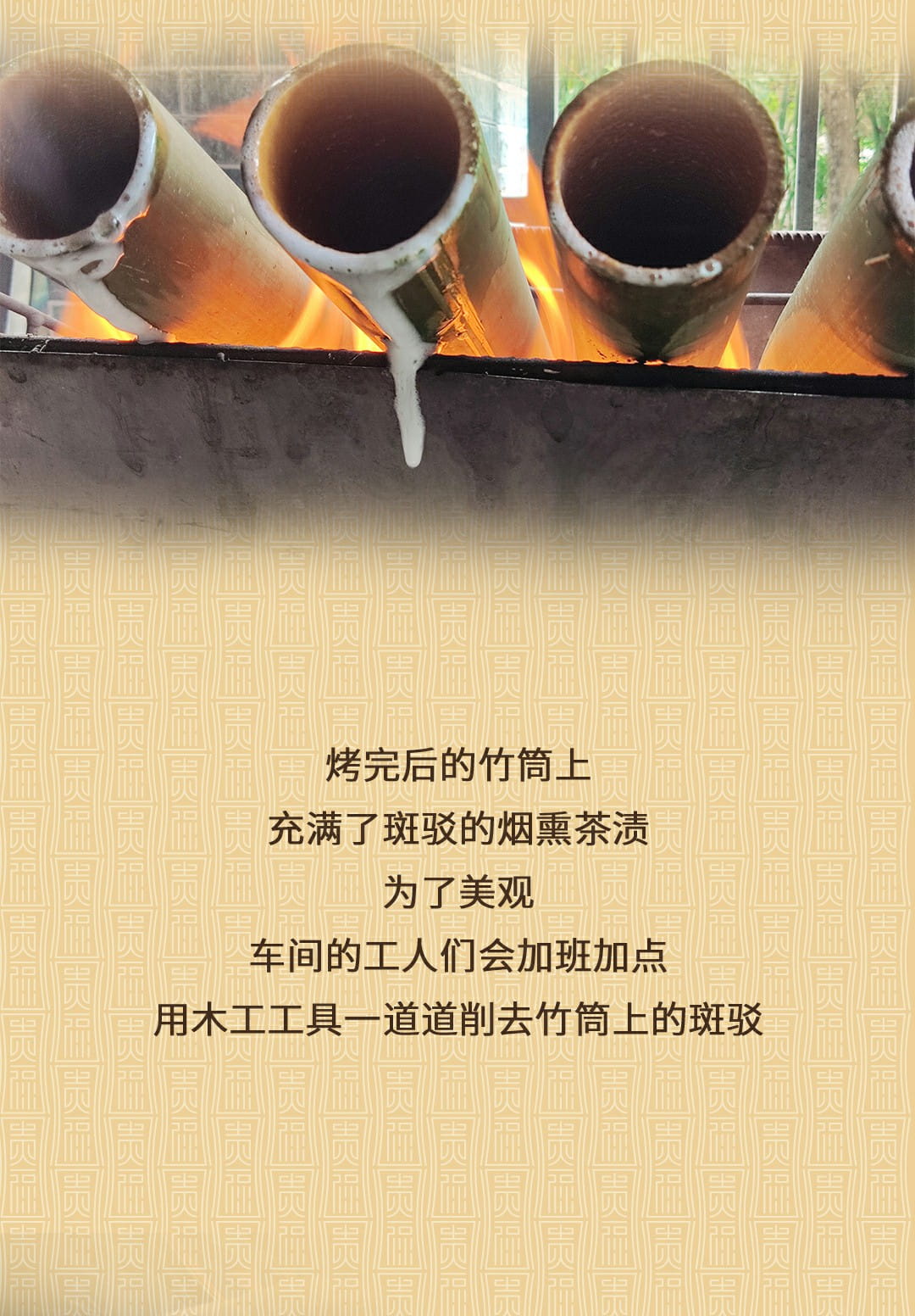 今大福2022年貴福·班章竹筒茶 今大福2022年貴福·班章竹筒茶