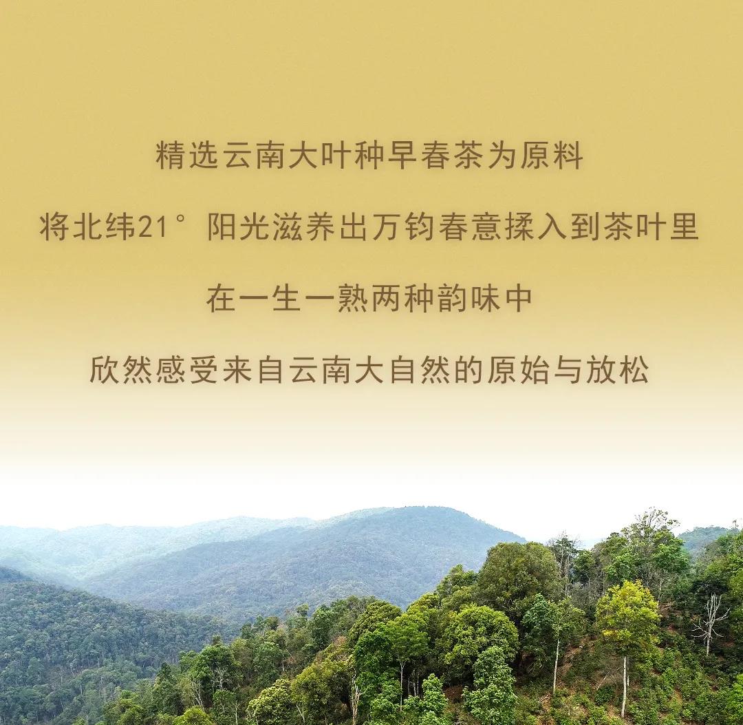今大福2021年生態(tài)一號青餅 今大福2021年生態(tài)一號青餅