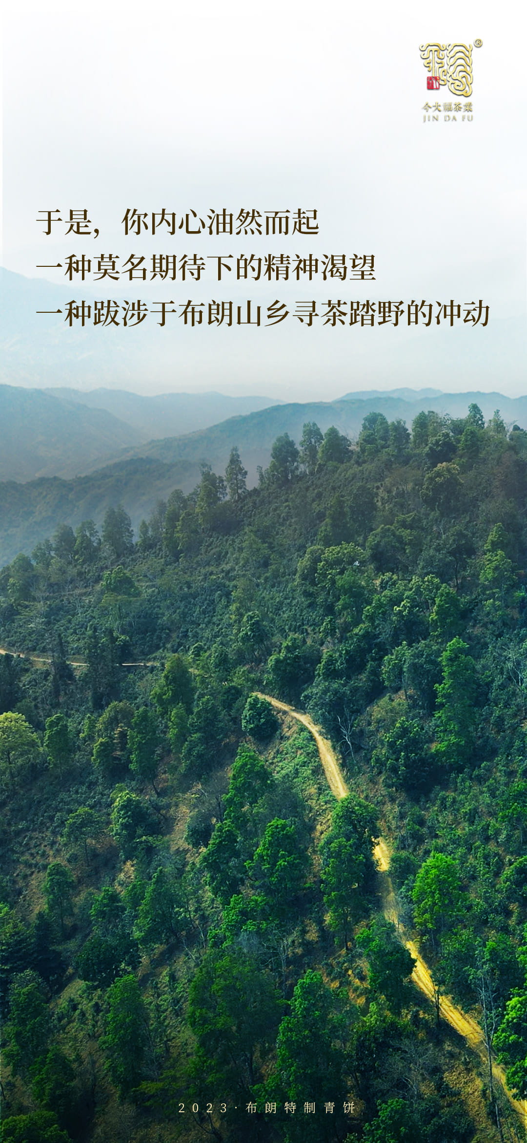 今大福2023年布朗特制青餅