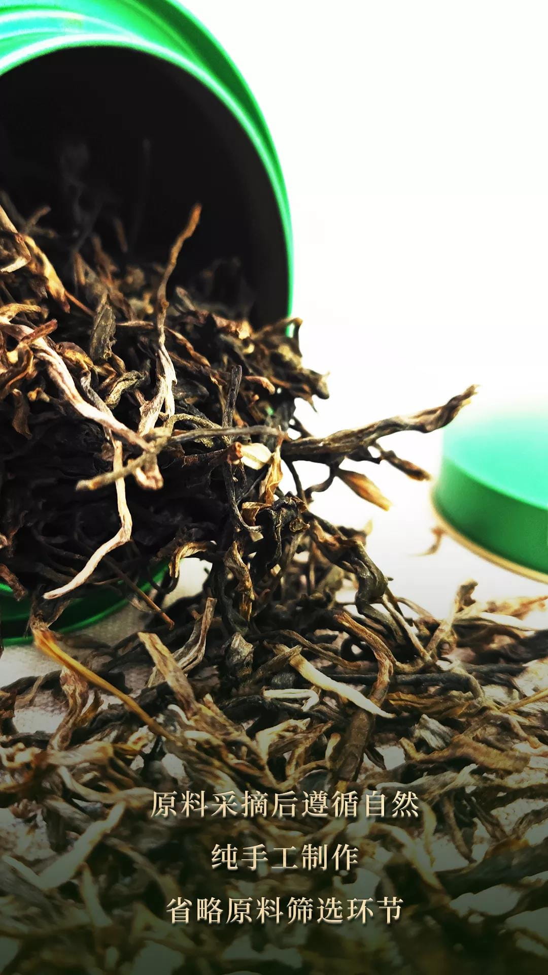 今大福2021年班章頭春散茶