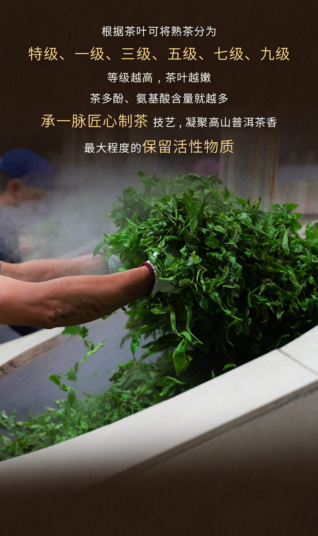 今大福2022年原生態熟茶 今大福2022年原生態熟茶