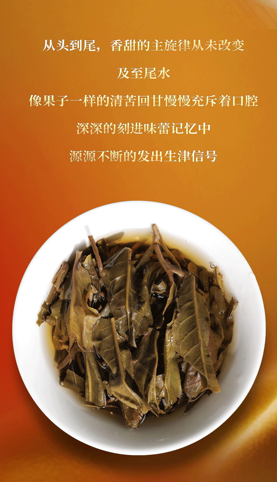 今大福2022年特優青餅 今大福2022年特優青餅