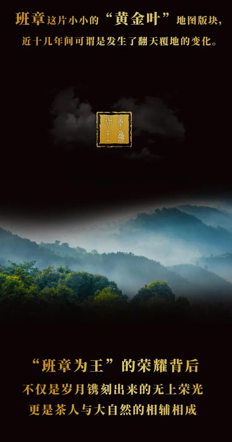 今大福2021年班章茶王青餅 今大福2021年班章茶王青餅