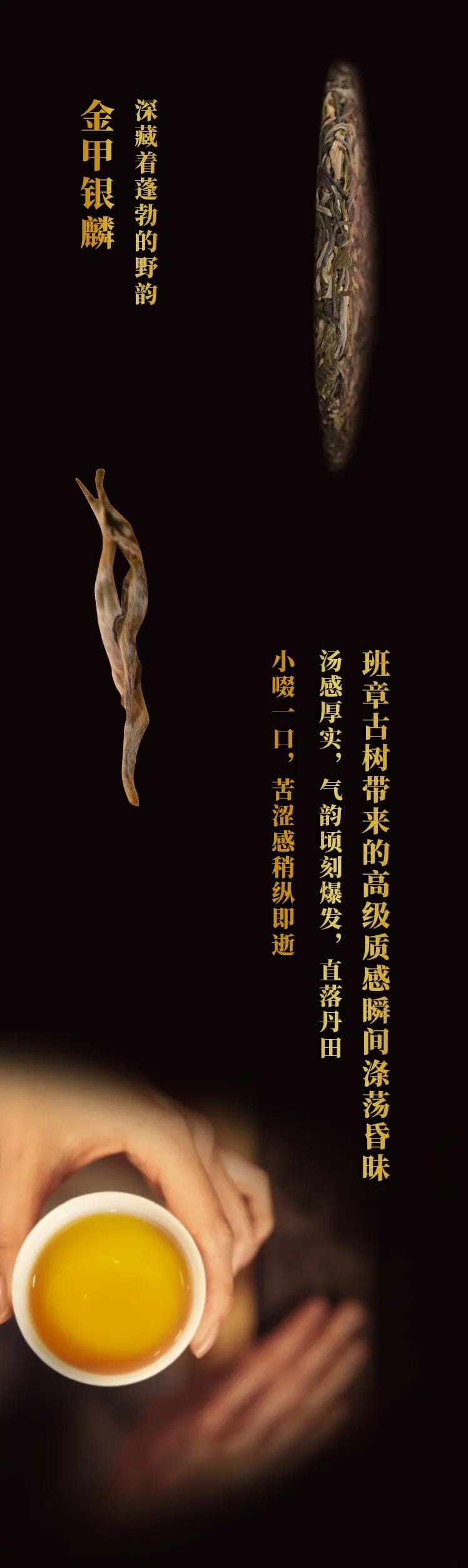 今大福2021年班章茶王青餅 今大福2021年班章茶王青餅