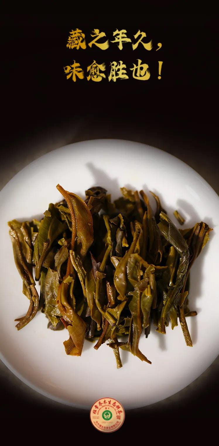 今大福2021年班章茶王青餅 今大福2021年班章茶王青餅