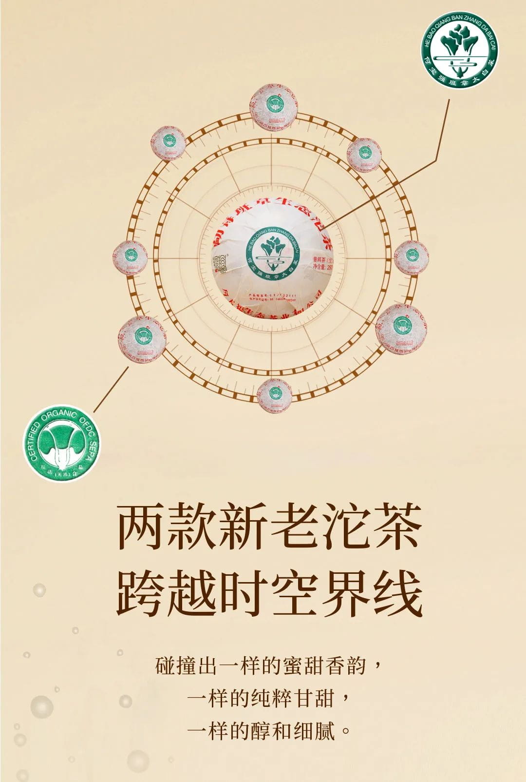 今大福2021年班章生態青沱(灰紙沱) 今大福2021年班章生態青沱(灰紙沱)