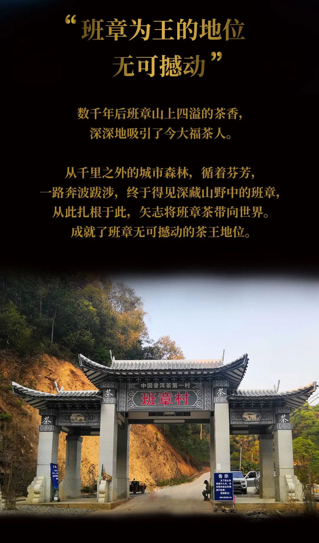 今大福2020年班章起福金磚 今大福2020年班章起福金磚