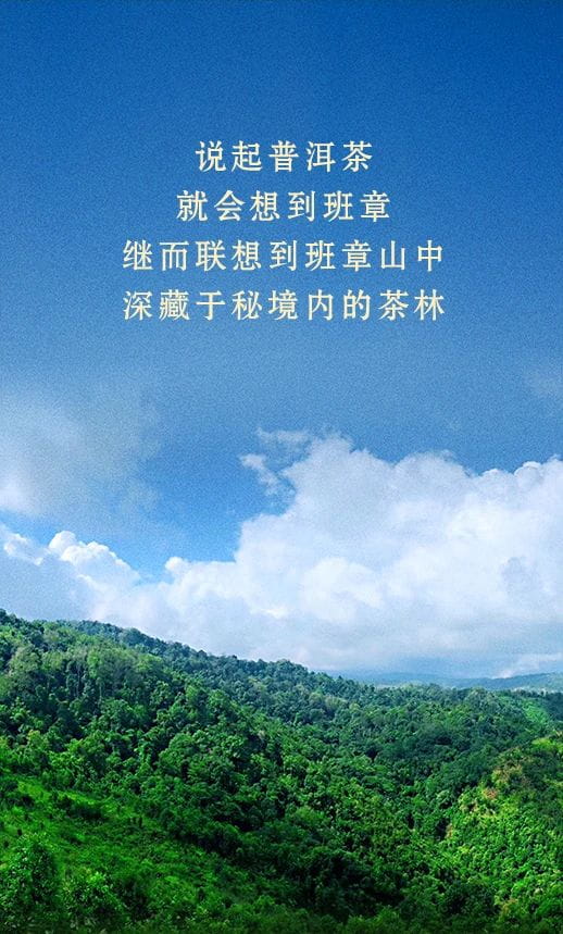 今大福2021年班章秘境青餅 今大福2021年班章秘境青餅