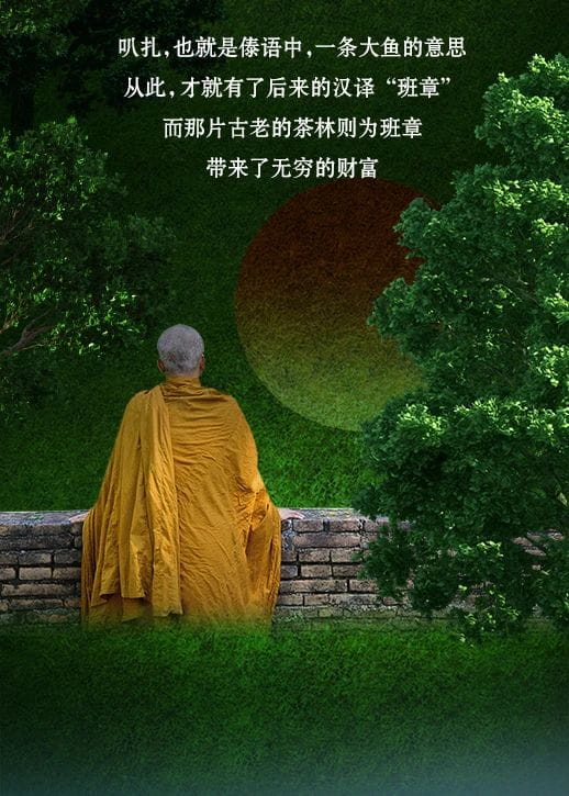 今大福2021年班章秘境青餅 今大福2021年班章秘境青餅