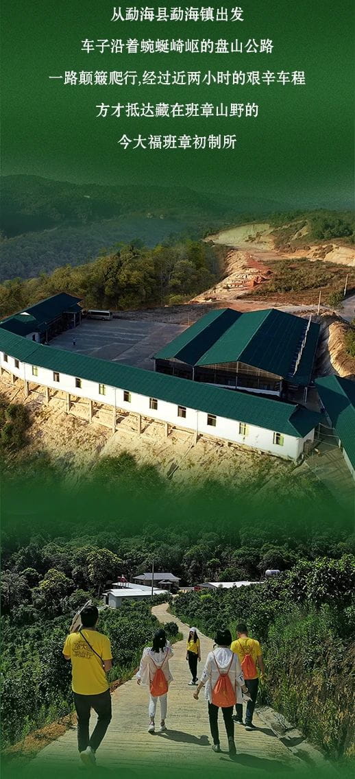 今大福2021年班章秘境青餅 今大福2021年班章秘境青餅