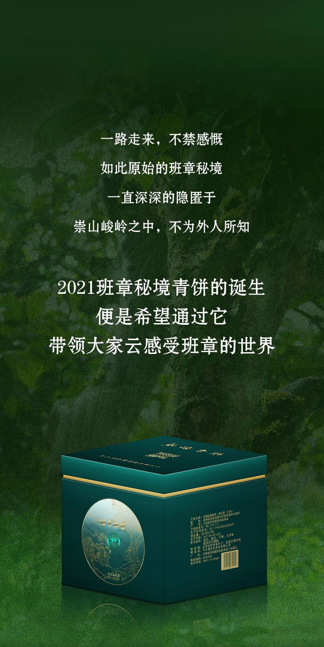今大福2021年班章秘境青餅 今大福2021年班章秘境青餅