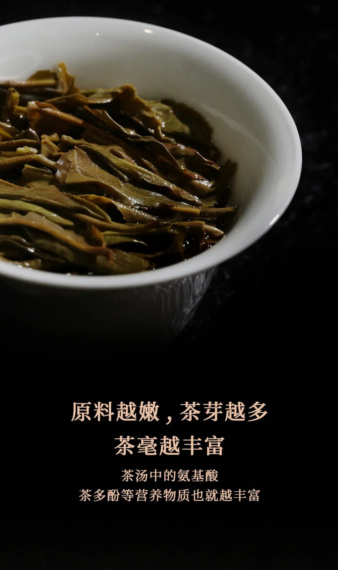 今大福2021年班章四星大白菜青餅 今大福2021年班章四星大白菜青餅