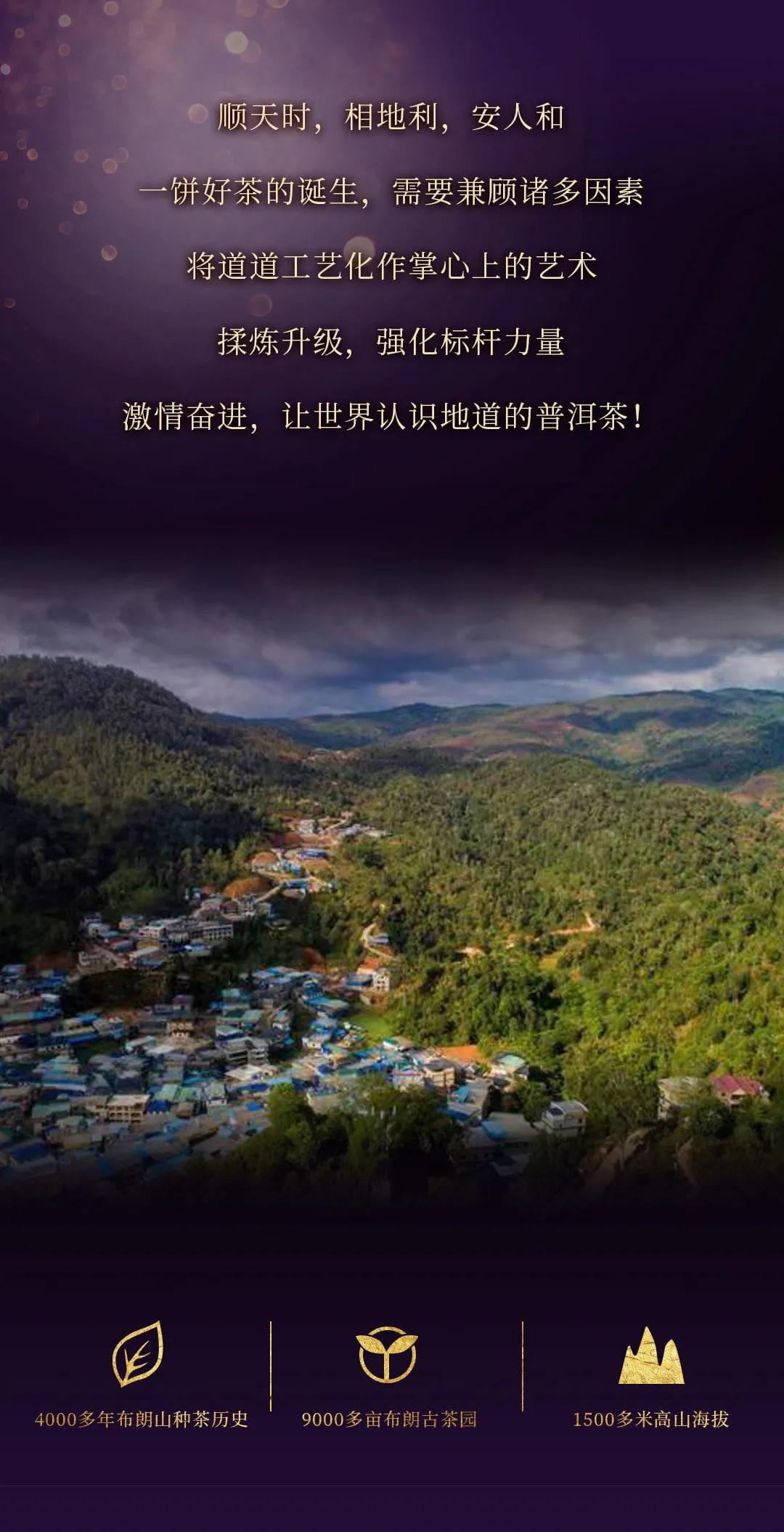 今大福2021年紫大象生態青餅 今大福2021年紫大象生態青餅