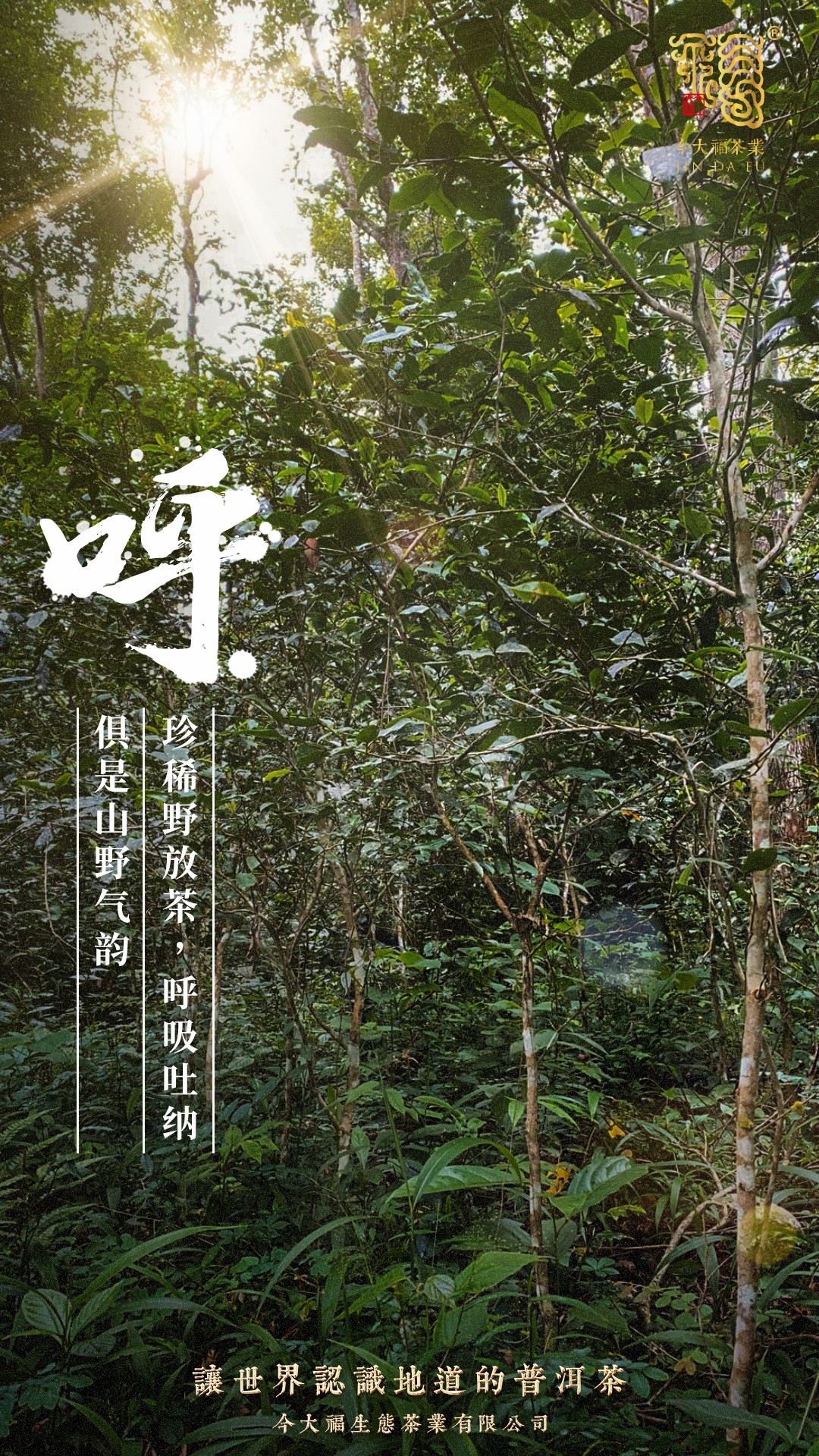 今大福2020年風華青餅 今大福2020年風華青餅