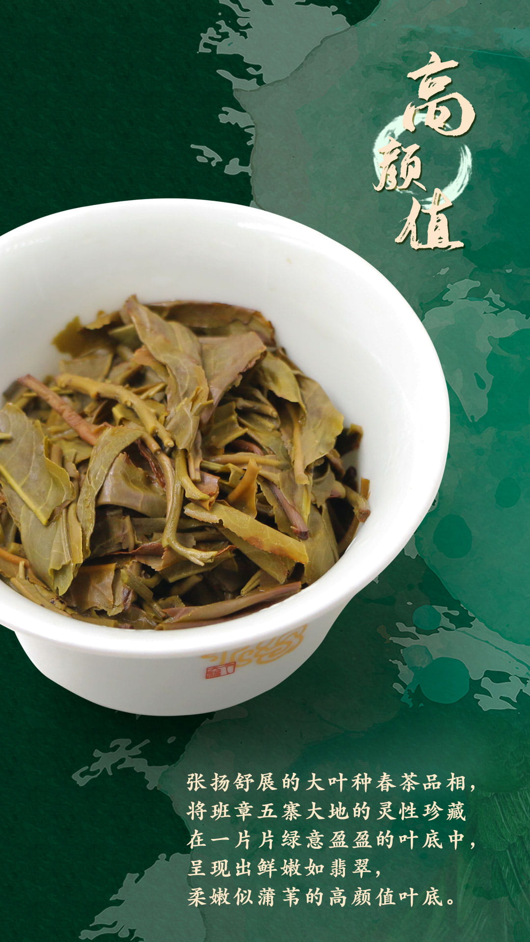 今大福2020年班章五寨 翡翠孔雀青餅 今大福2020年班章五寨 翡翠孔雀青餅