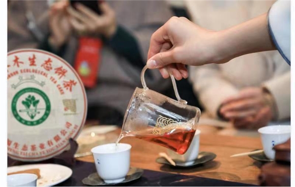 今大福普洱茶2021年班章四星大白菜青餅生茶