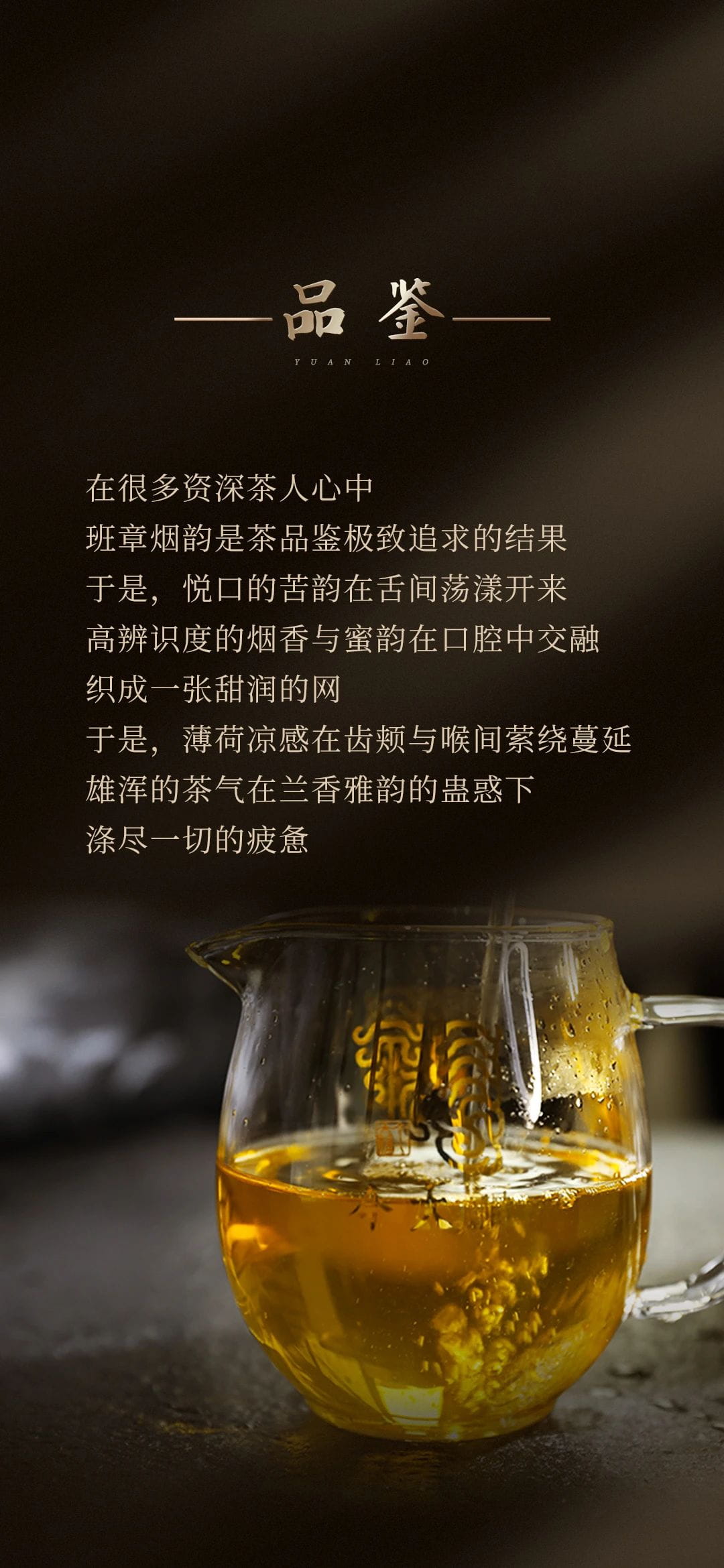 今大福2023年班章五星大白菜青餅 今大福2023年班章五星大白菜青餅