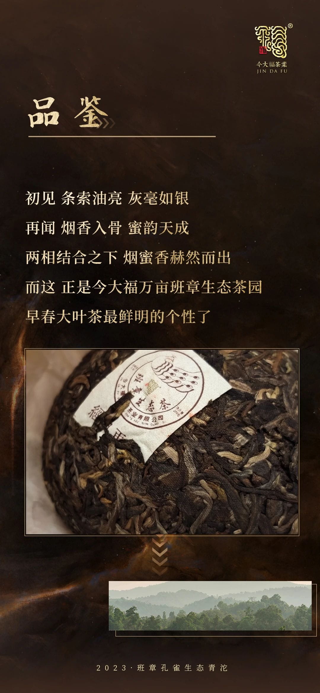 今大福2023年班章孔雀生態(tài)青沱