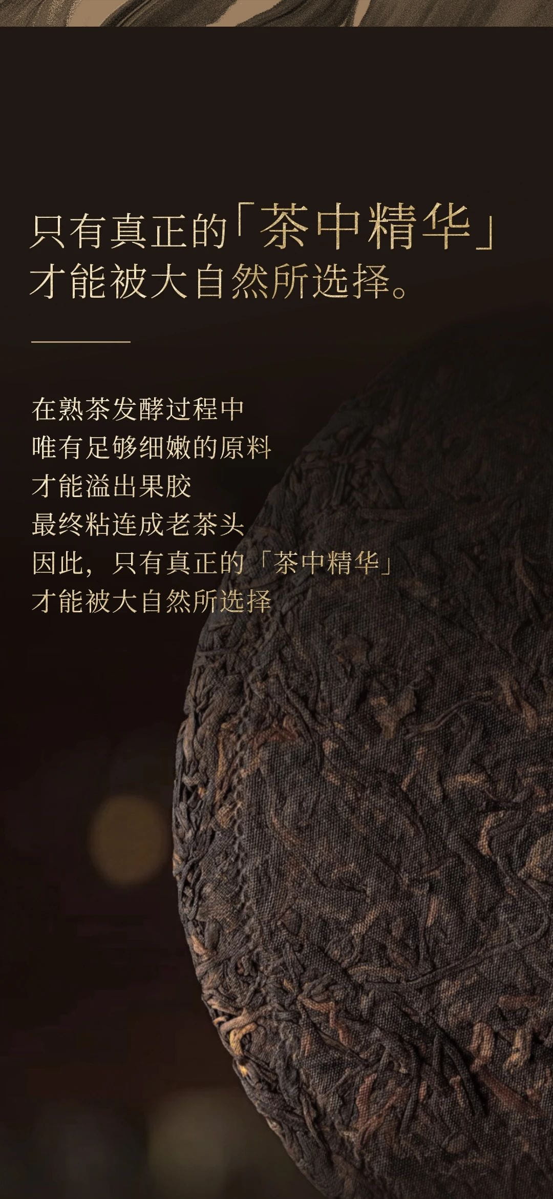 今大福2023年特制老茶頭熟餅