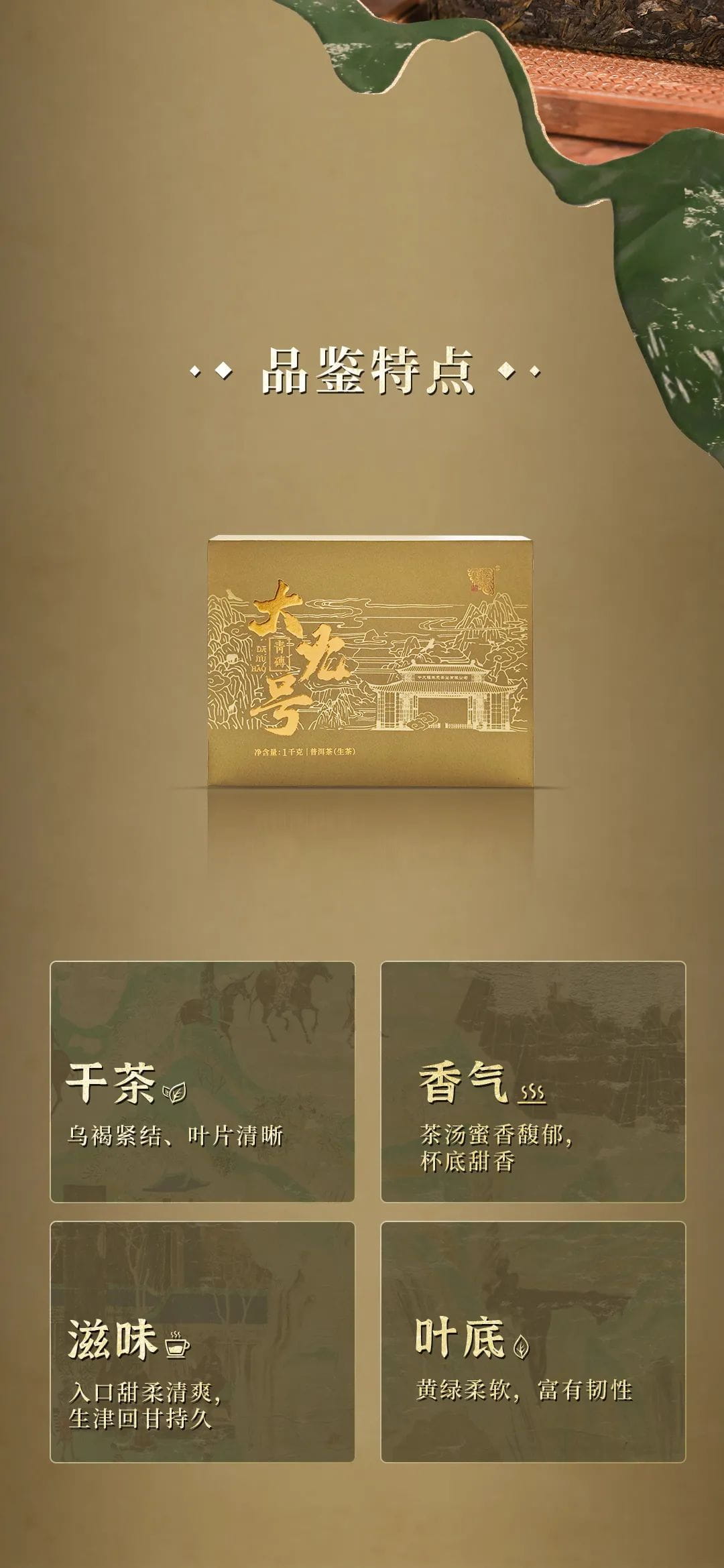 今大福2023年大九號青磚