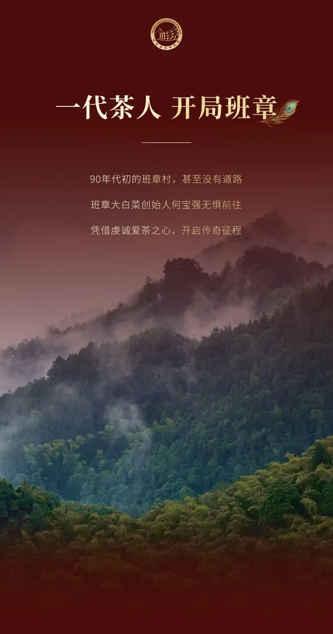 今大福2023年班章孔雀五星青餅