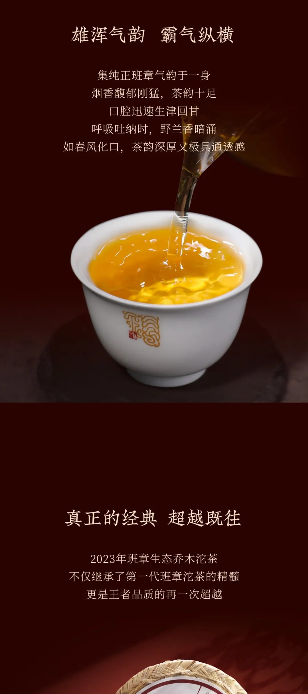 今大福2023年班章生態喬木沱茶(限量珍藏版)