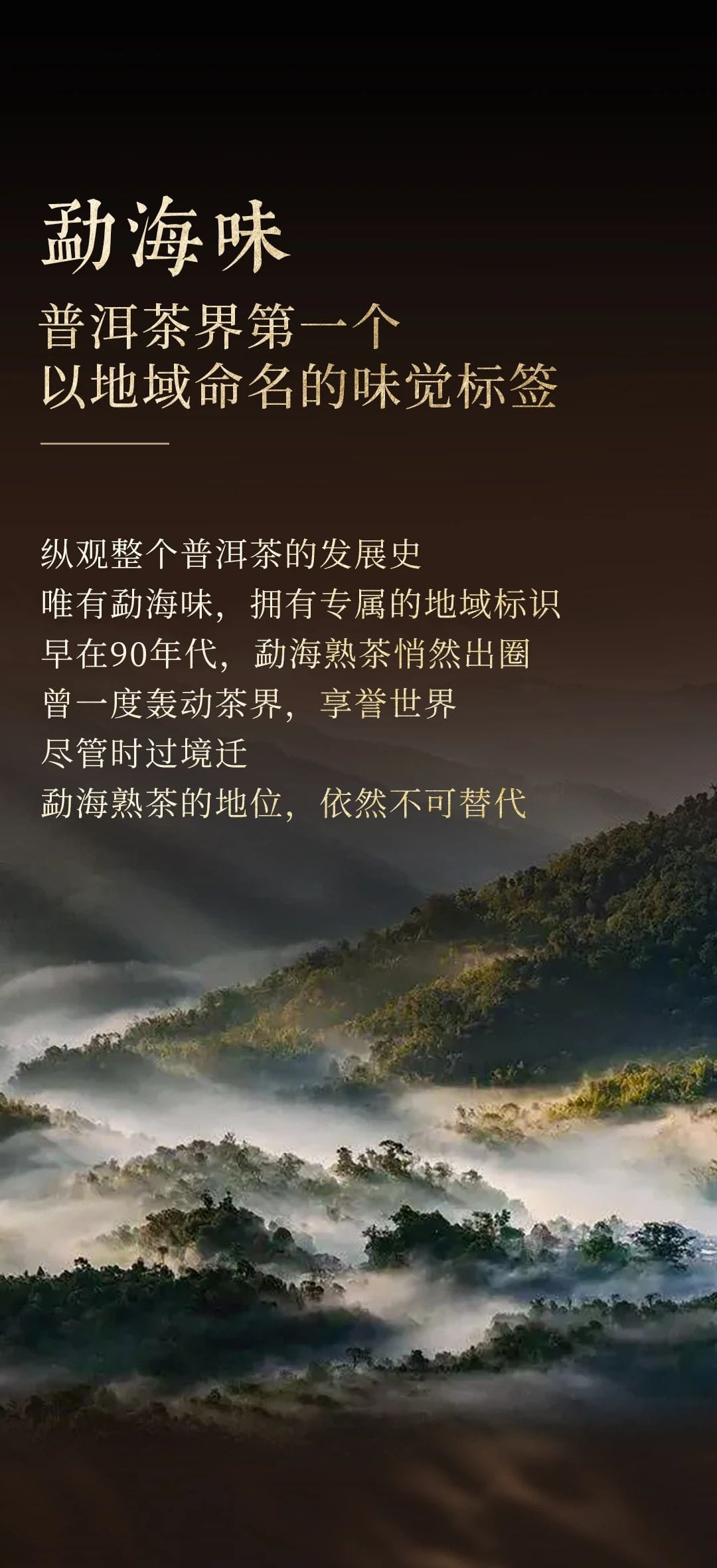 今大福2024年經典精品熟磚