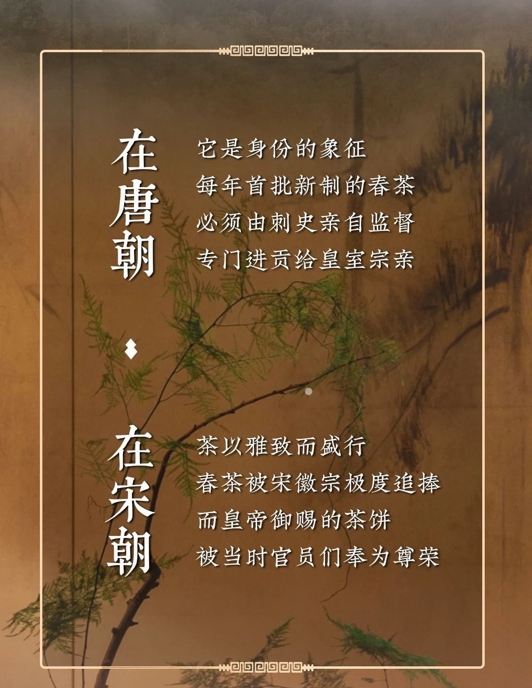 今大福2024年班章頭春青餅