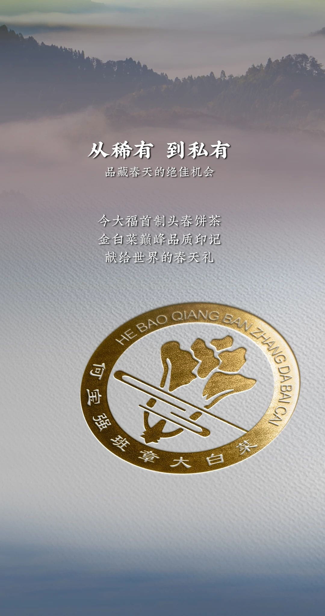 今大福2024年班章頭春青餅