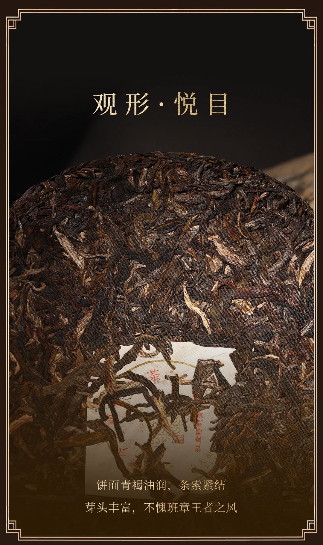 今大福2024年班章特制青餅