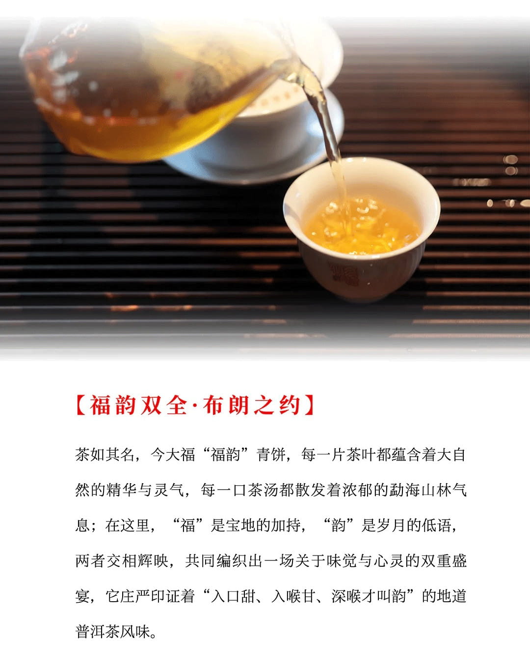 今大福2024年福韻青餅