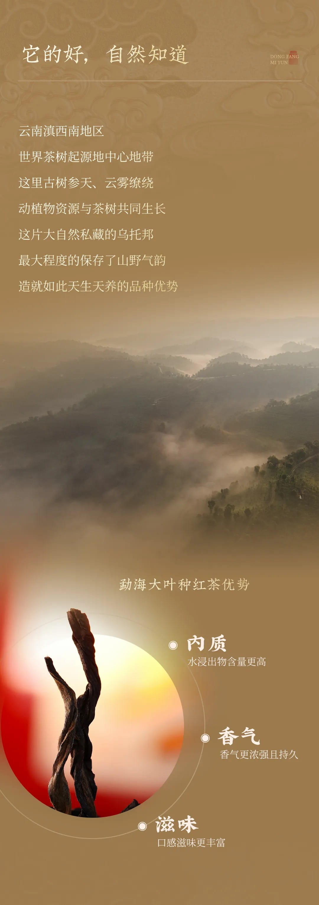 今大福2024年?yáng)|方蜜韻