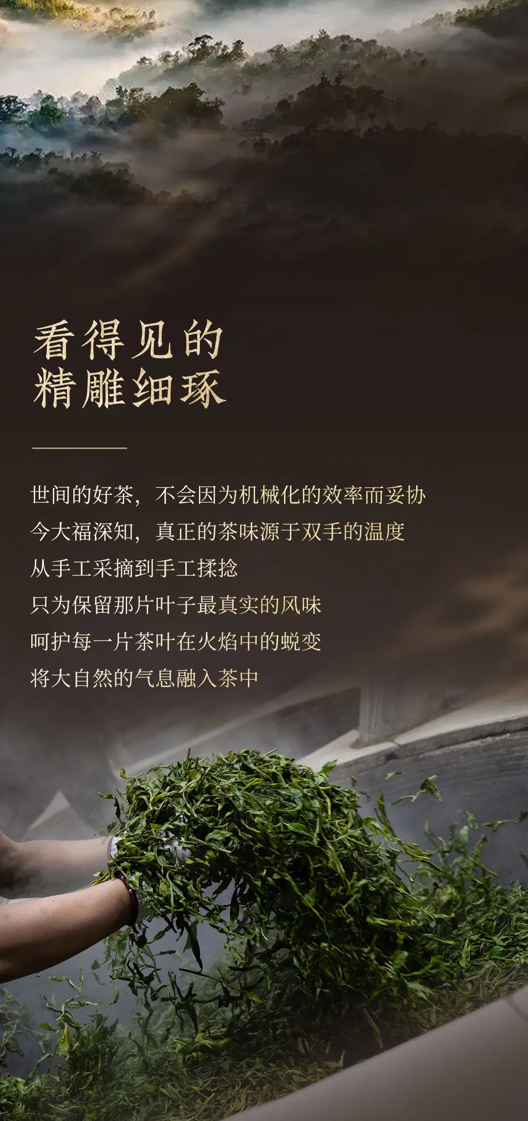 今大福2024年布朗銀磚生茶