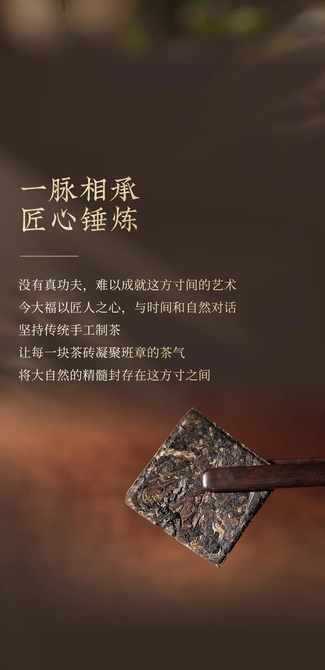 今大福2024年班章金磚生茶