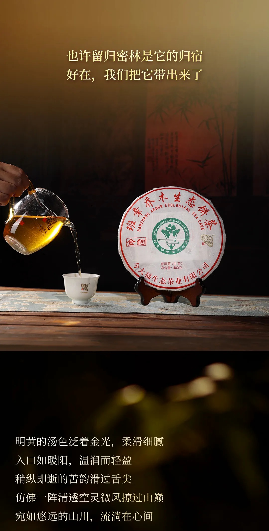 今大福2024年班章金韻青餅