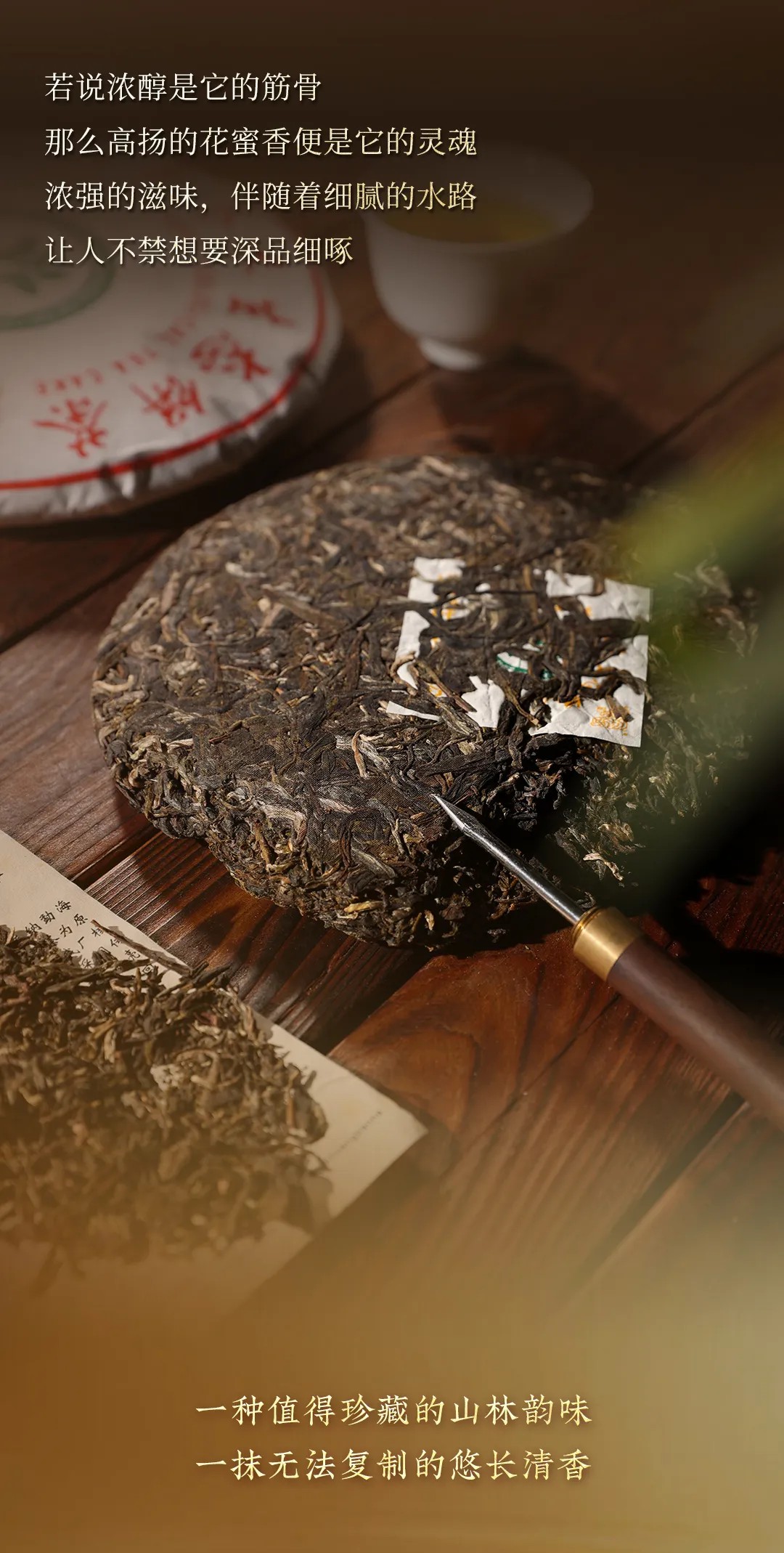 今大福2024年班章金韻青餅